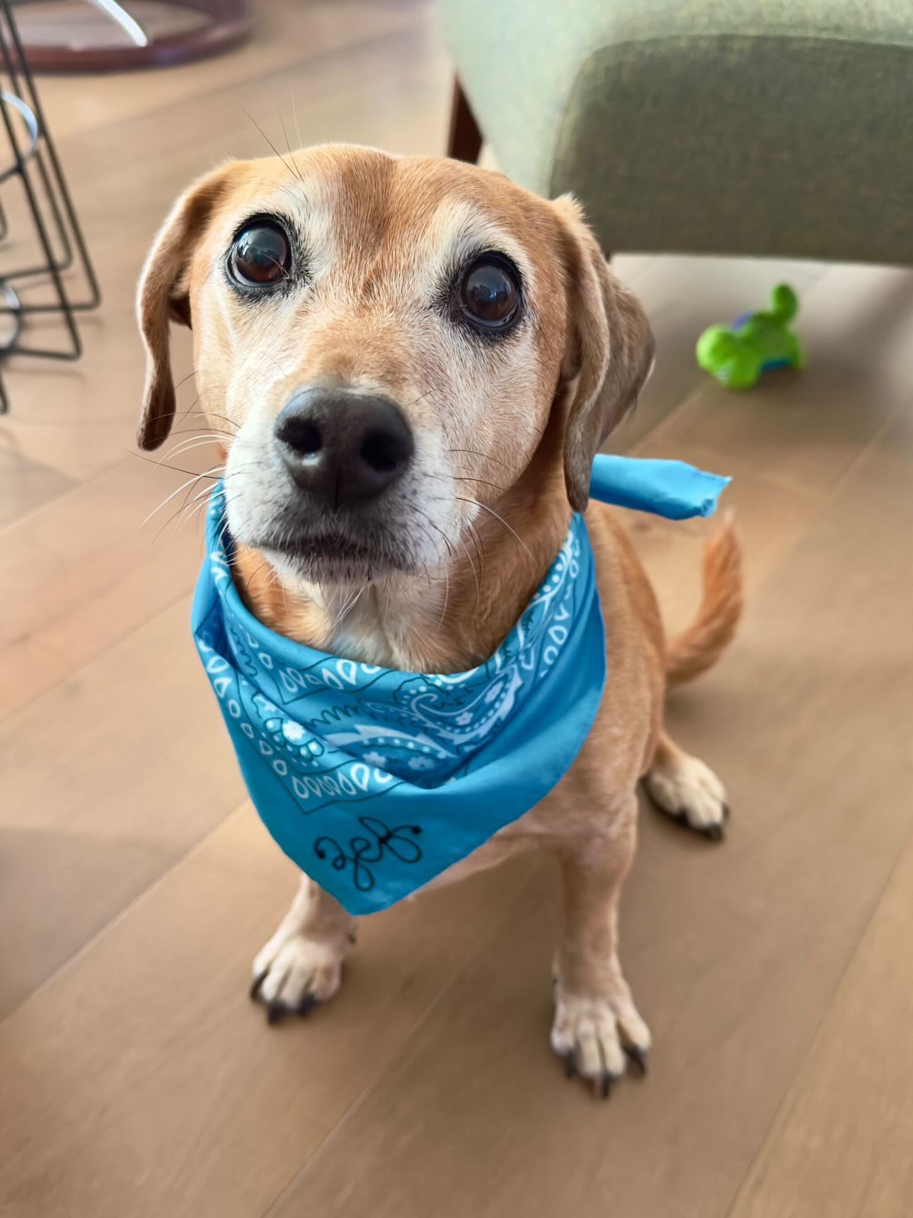 Custom Chainstitch Bandanna