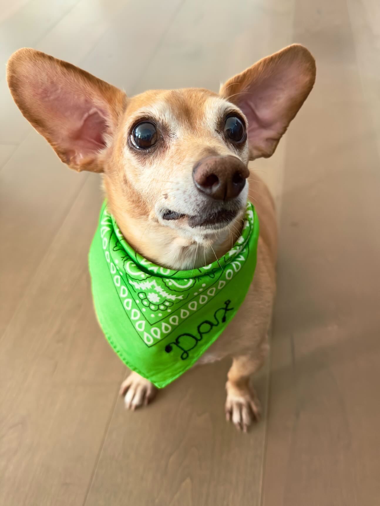 Custom Chainstitch Bandanna